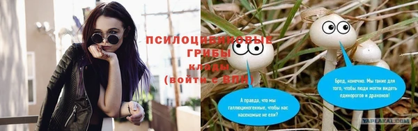 метадон Алексеевка