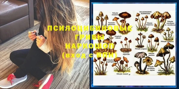 соль курить ск Алексин