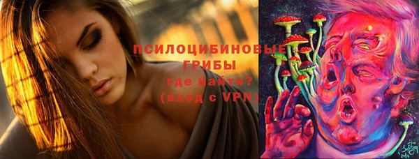 дмт Алзамай