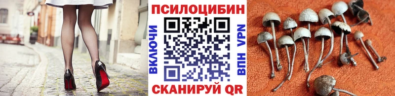 Галлюциногенные грибы мухоморы  наркотики  Березники 
